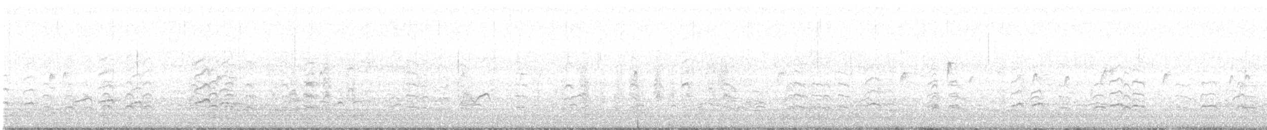 太平洋金斑鴴 - ML182673521