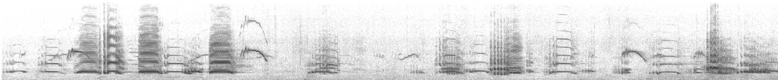 jeřáb bělohlavý - ML182689361