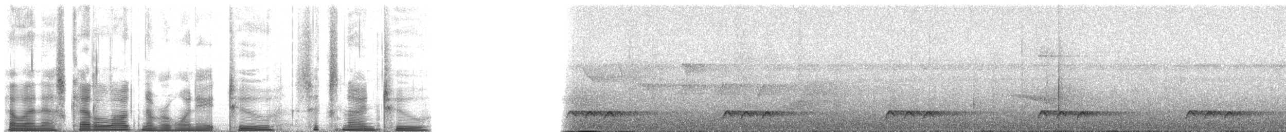 hvitkronegjøk - ML182692