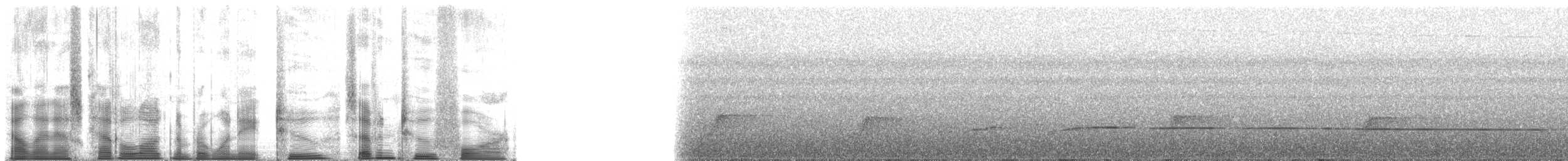 brunryggvakteltrost - ML182724