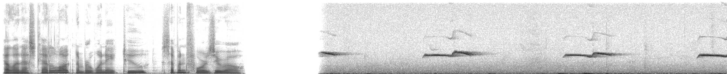 Gray-streaked Honeyeater - ML182740