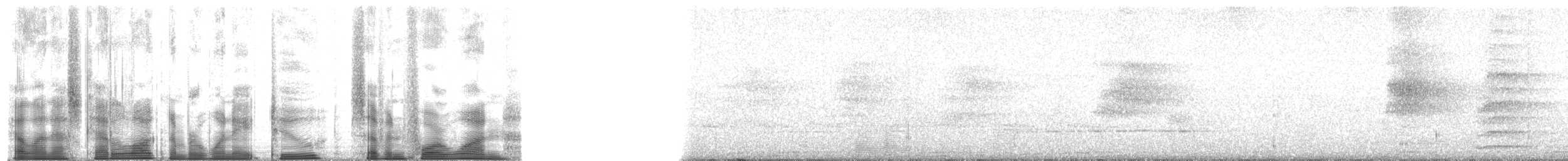 lori mnohobarvý - ML182741