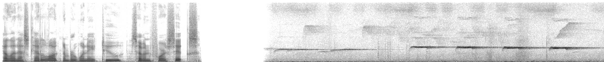 Sahul Brush Cuckoo - ML182746