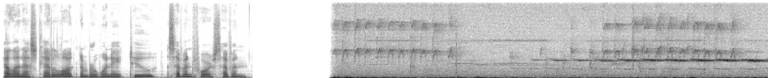 Sahul Cicadabird - ML182747