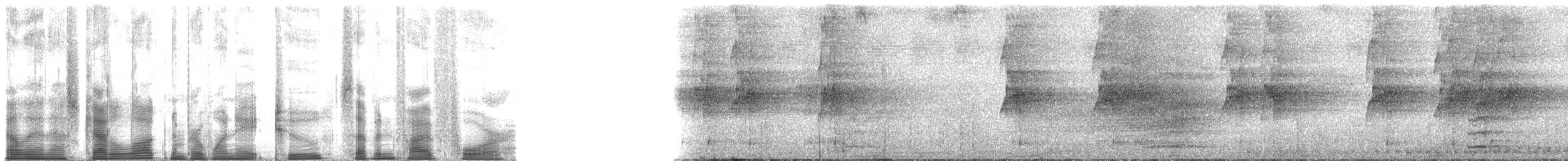 新幾內亞彩虹吸蜜鸚鵡 - ML182754
