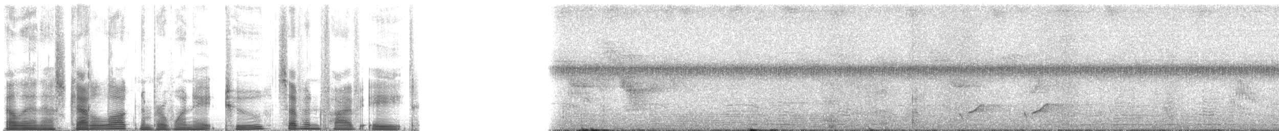 Sahul Brush Cuckoo - ML182758