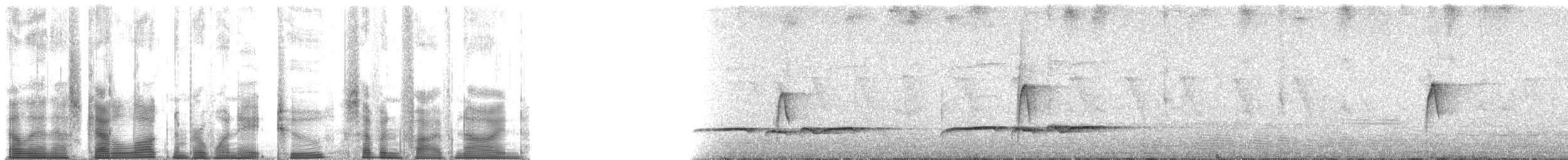 Black Sunbird - ML182759