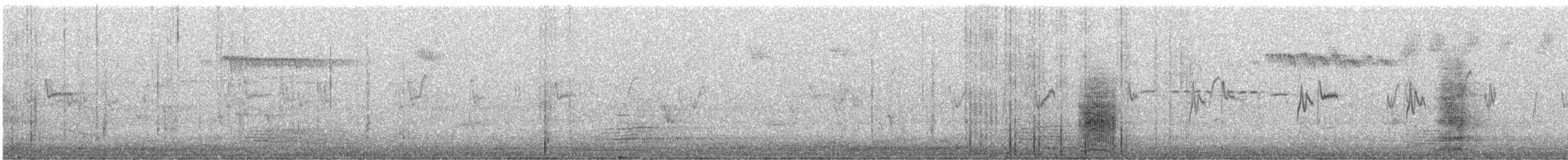 Медолюб-шилодзьоб західний - ML182760781