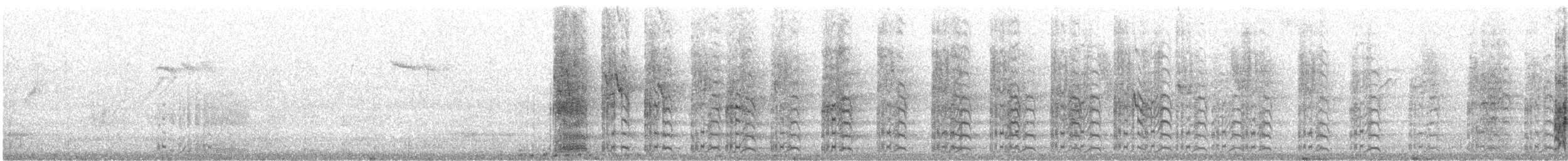 Perruche à tête pourpre - ML182761921