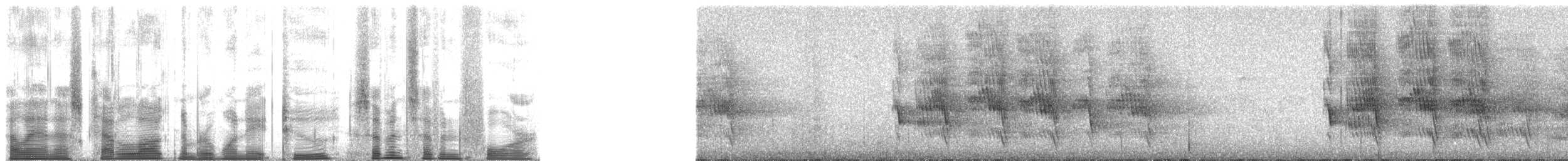 Длиннохвостый воронец - ML182774