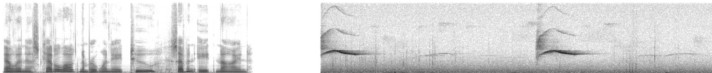 Rufous-backed Honeyeater - ML182789