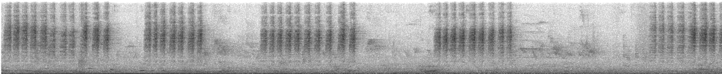 Northern House Wren - ML182806391