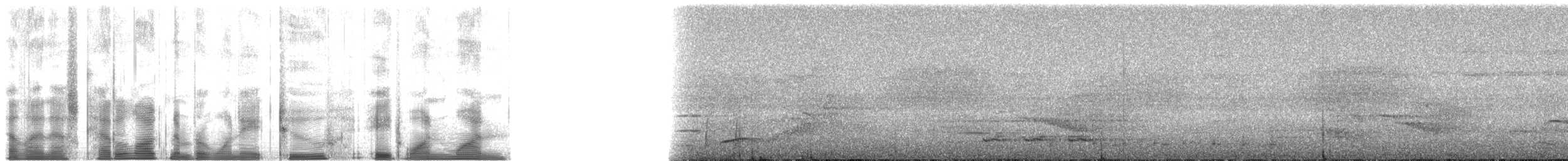 svartsigdnebb - ML182811