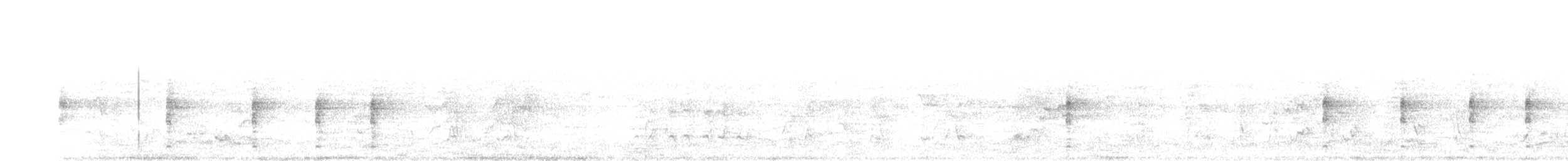 Левинія австралійська - ML182817631