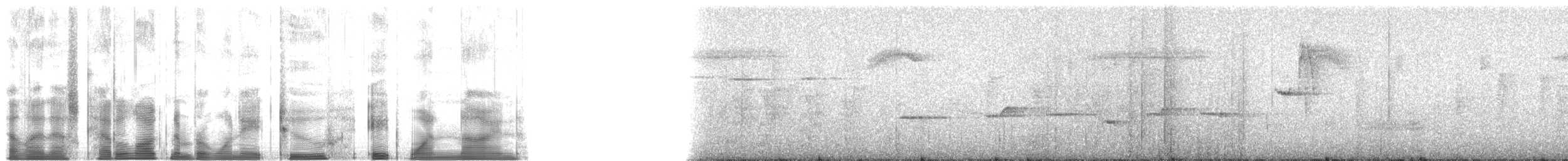 Kısa Gagalı Katmerkuyruk - ML182819