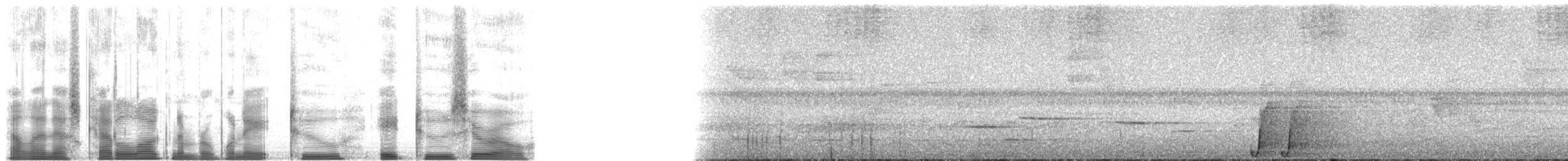 svartsigdnebb - ML182820