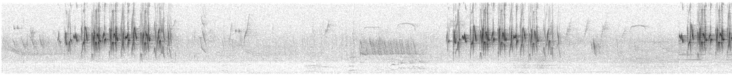 Gray-bellied Flowerpiercer - ML182825541