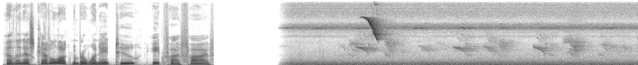 Квічаль буроволий (підвид eichhorni) - ML182855