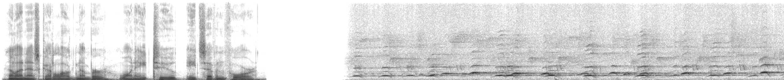 Pileated Gibbon - ML182874