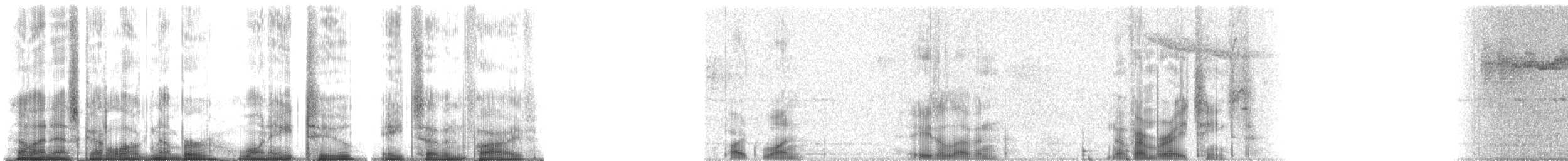 Pileated Gibbon - ML182875