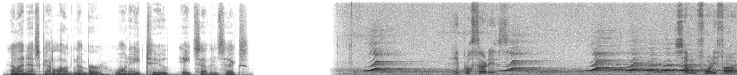 Lar x Pileated Gibbon (hybrid) - ML182876