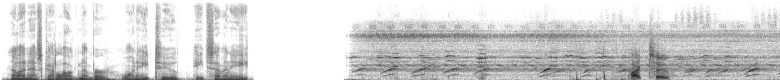 Rough-sided frog - ML182878