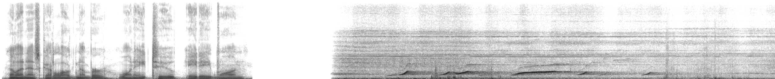 Lar Gibbon - ML182881