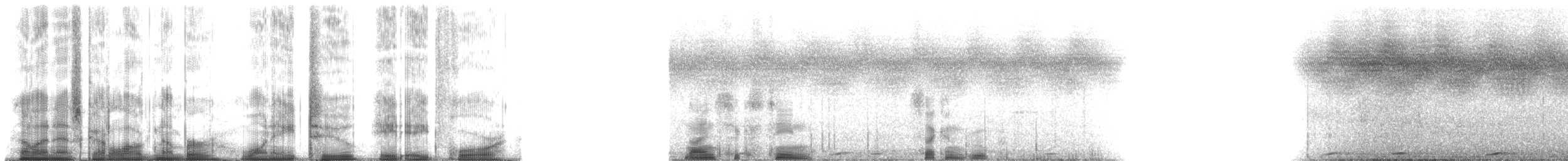 Lar Gibbon - ML182884