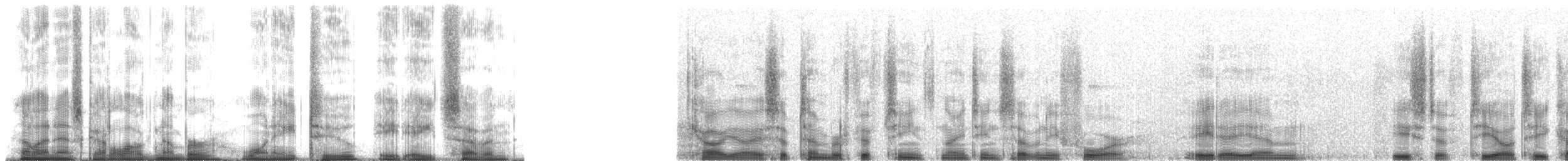 Lar Gibbon - ML182887