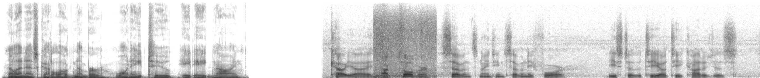 Lar x Pileated Gibbon (hybrid) - ML182889
