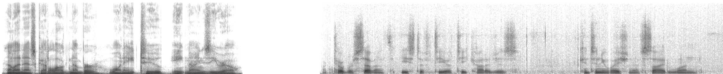 Lar x Pileated Gibbon (hybrid) - ML182890