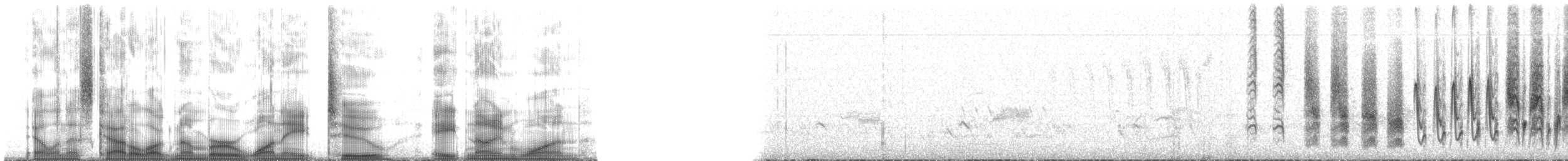 Troglodyte de Socorro - ML182891