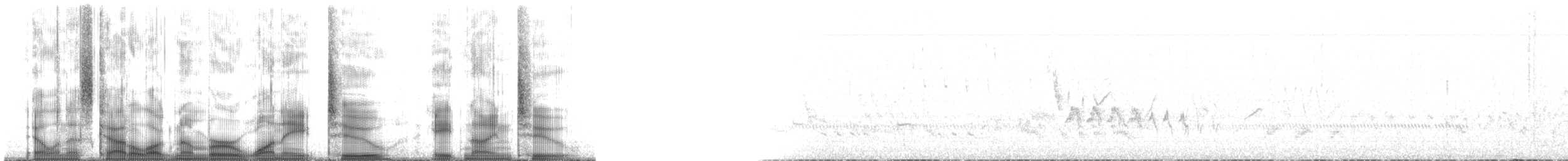 Spotted Towhee (Socorro) - ML182892