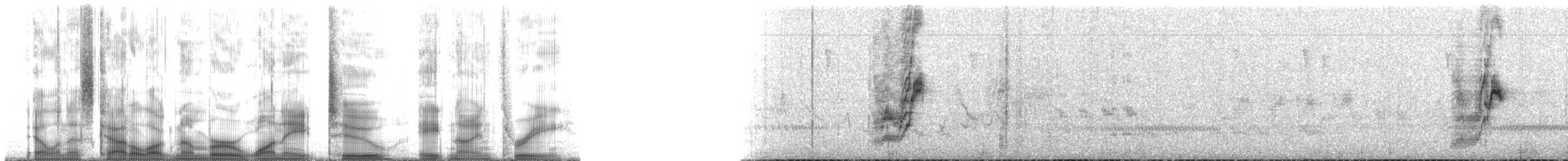 Spotted Towhee (Socorro) - ML182893