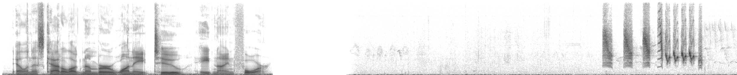 Troglodyte de Socorro - ML182894