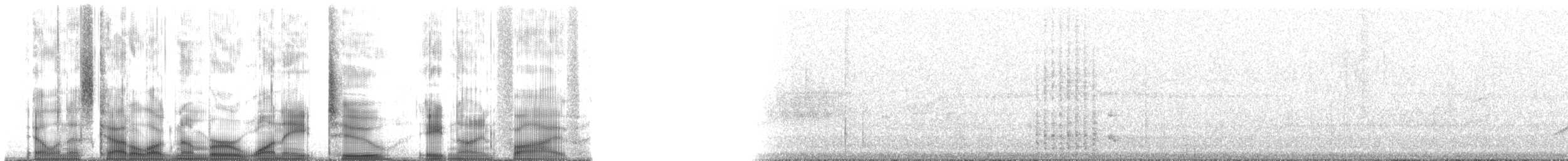 Socorro Parakeet - ML182895