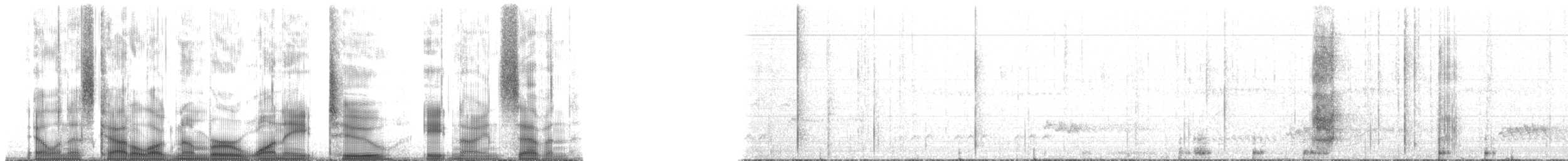 Socorro Parakeet - ML182897