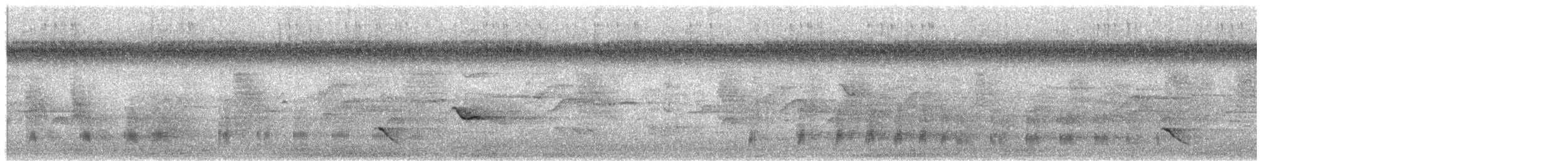 Sunda Teal - ML182986511