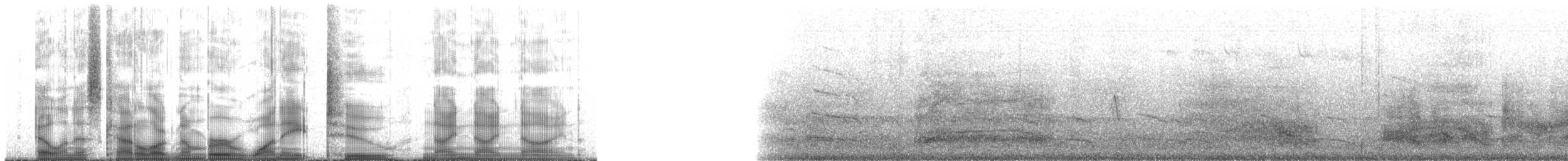 Braunpelikan (californicus) - ML182999