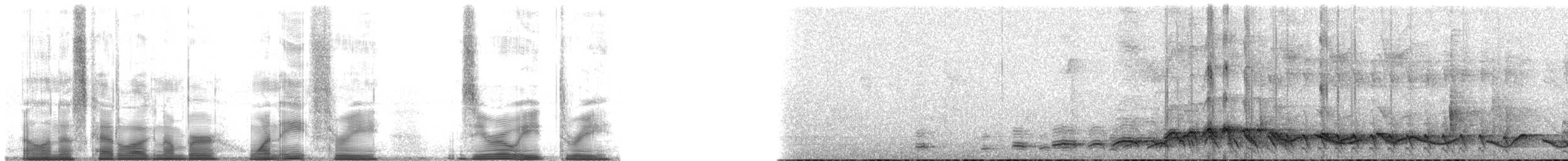 White-necked Laughingthrush - ML183083