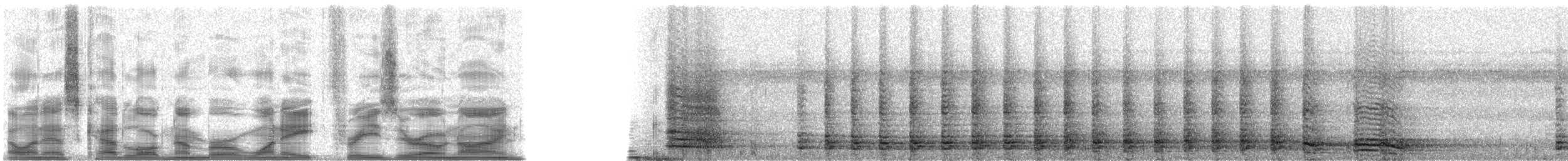 Red-throated Caracara - ML18309