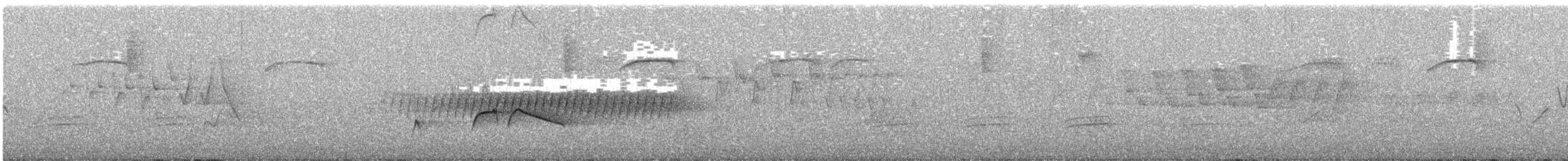 Olivflanken-Schnäppertyrann - ML183112331