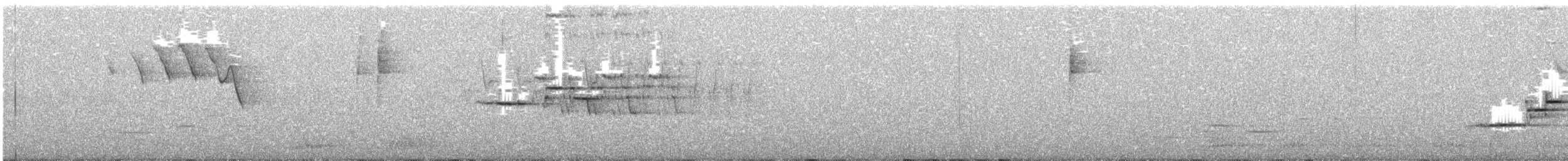 Einsiedler-Musendrossel - ML183112361