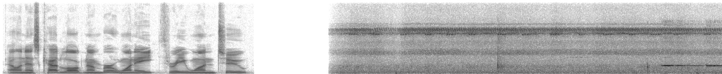 Rusty-belted Tapaculo - ML18312