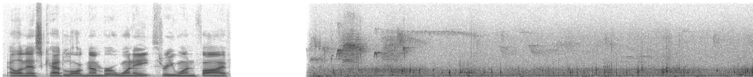 Streak-headed Antbird - ML18315