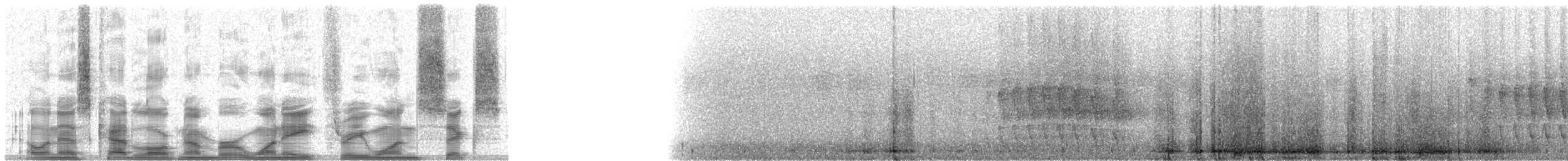 Striped Treehunter - ML18316