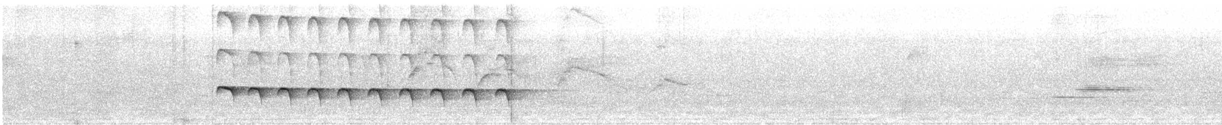 Zeledon Karıncakuşu - ML183160181