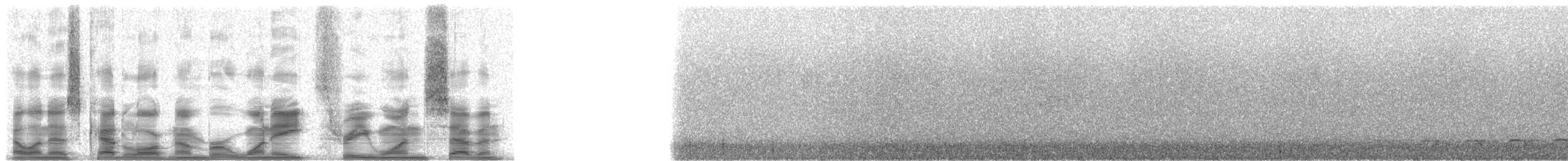 Masked Trogon - ML18317