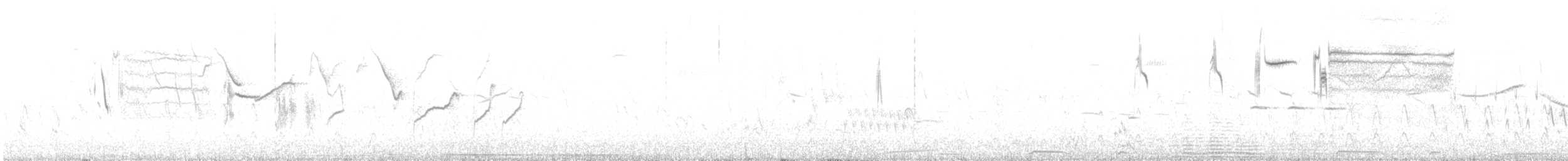 White-browed Meadowlark - ML183187801