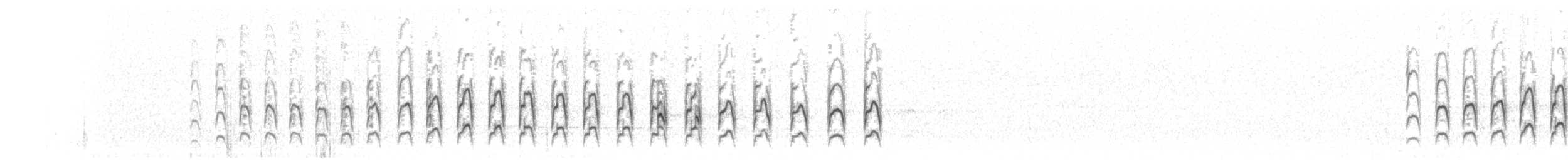 Strichelstirn-Bündelnister - ML183202211